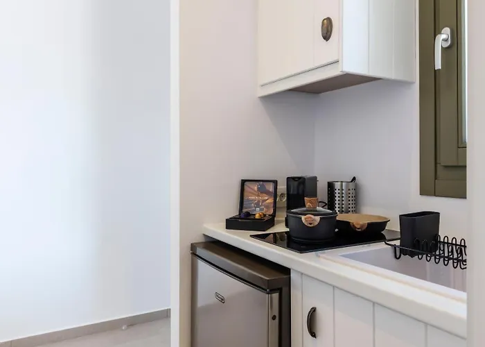 Mykonian Shades Hotel apartamentowy